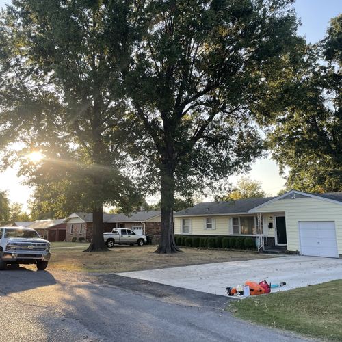 Tree Trimming and Removal