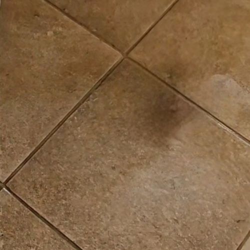 Tile and Grout Cleaning