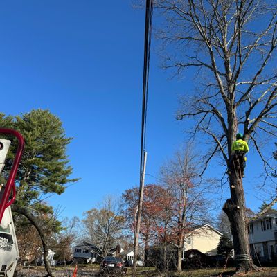 Avatar for Nelson’s Hardscape & Tree Service Inc