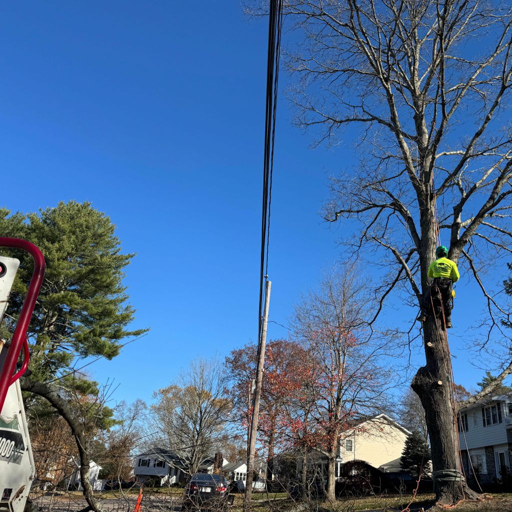 Nelson’s Hardscape & Tree Service Inc