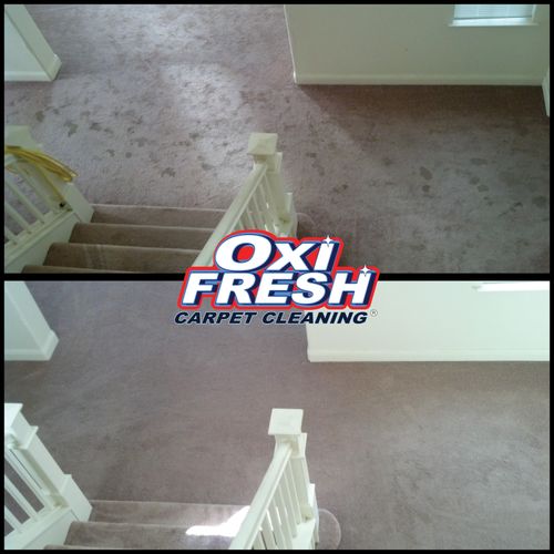 Carpet Cleaning