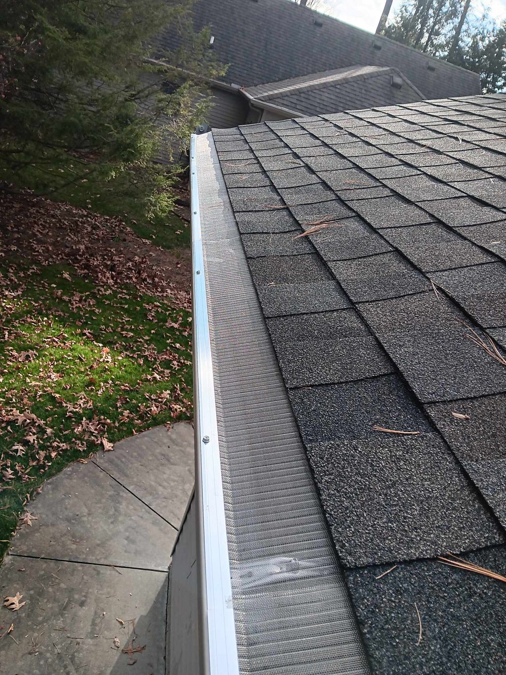 Gutter Cleaning and Maintenance