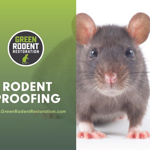 Rodent Proofing