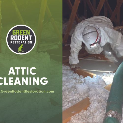 Attic Cleaning