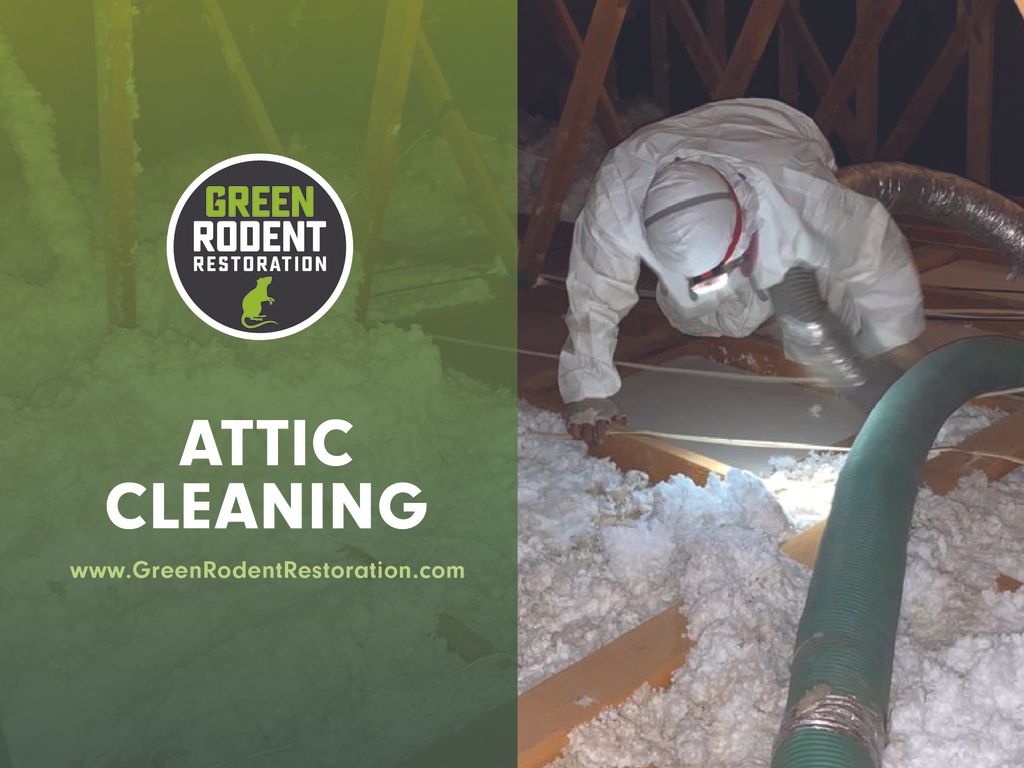 Attic Cleaning