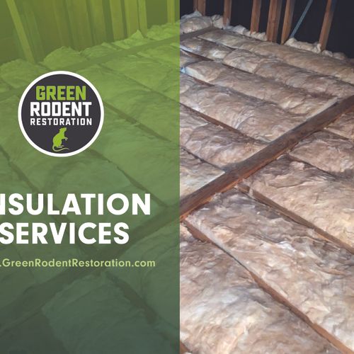 Insulation Services