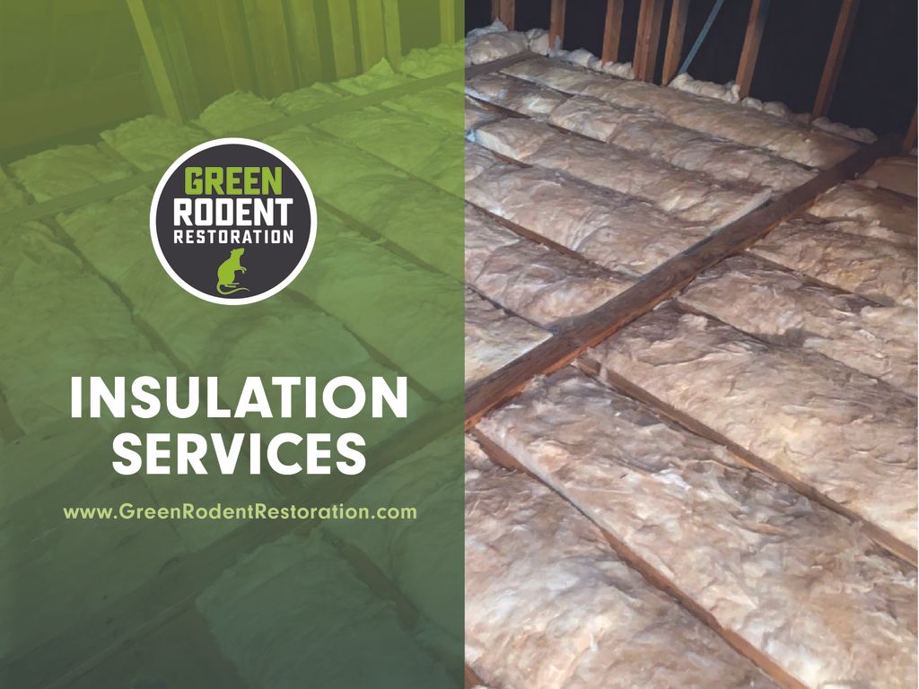 Insulation Services