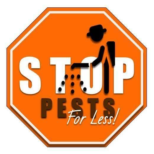 Stop Pests For Less Exterminating