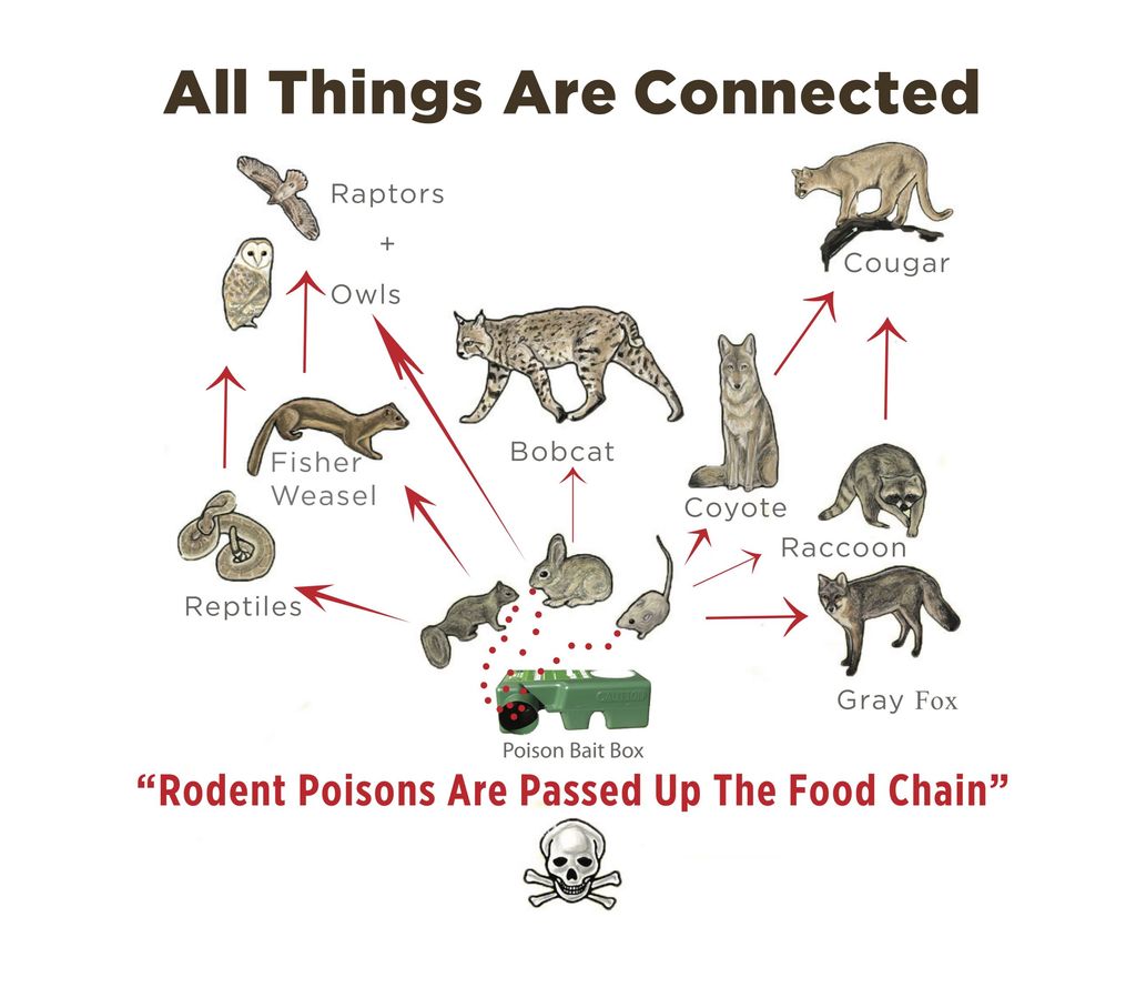 Poison Free Rodent Control