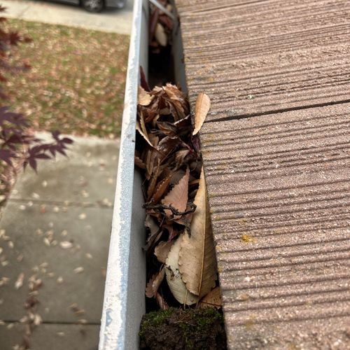 Gutter Cleaning and Maintenance