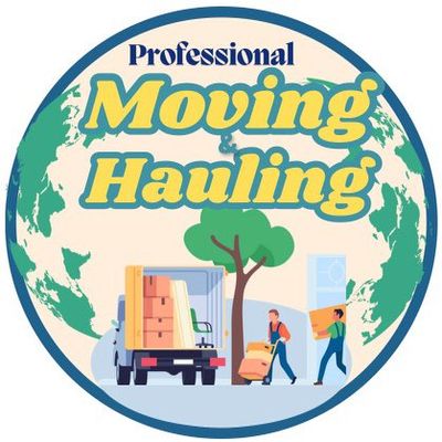 Avatar for Moving, Handy work and Detailing