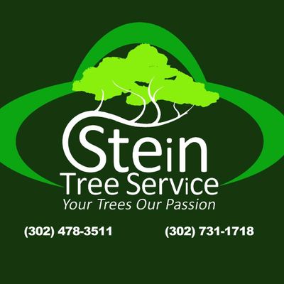 Avatar for Stein Tree Service