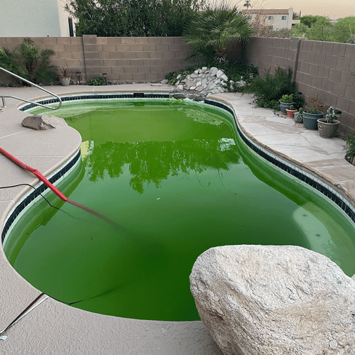 Swimming Pool Cleaning, Maintenance, and Inspection