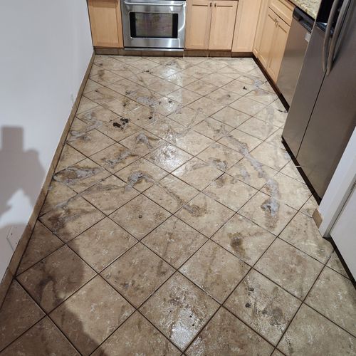 Tile and Grout Cleaning