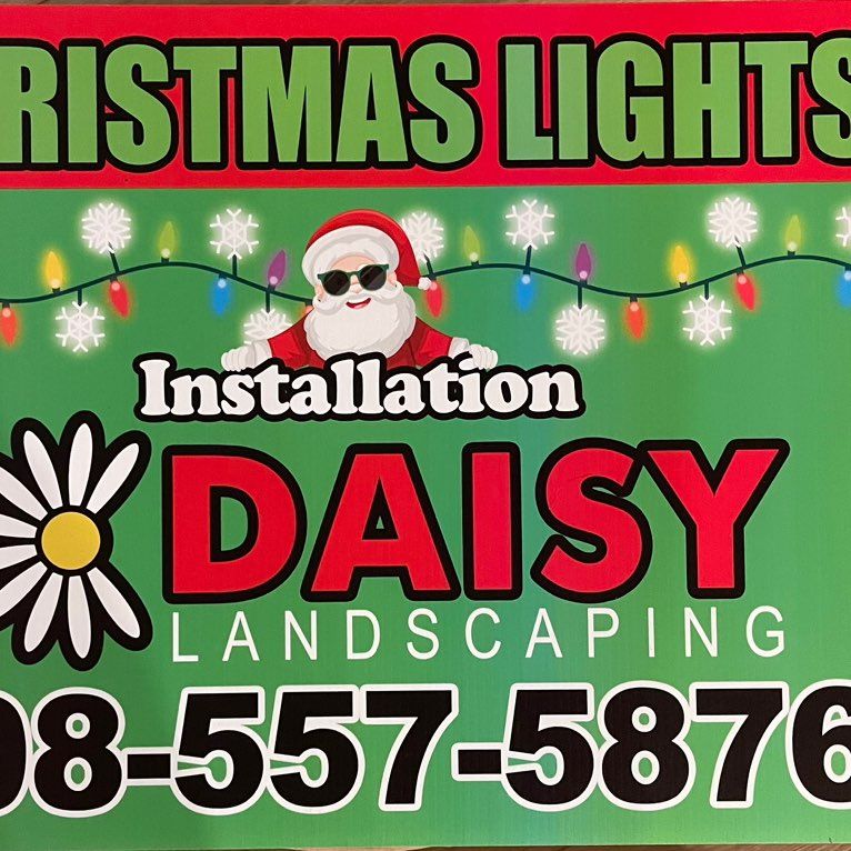 Daisy landscaping & Holiday Installation