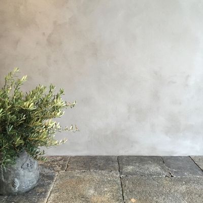 Avatar for Havenly Renovations