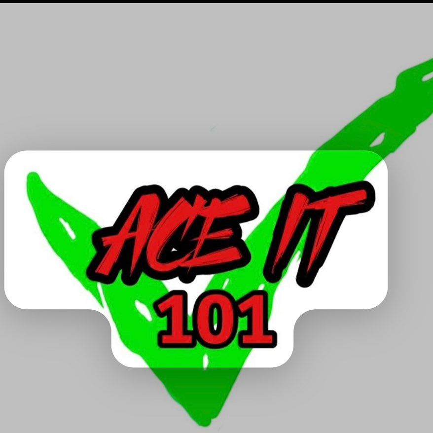 Ace it 101 LLC