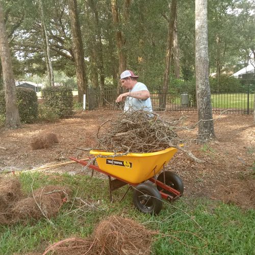 picking up sticks and laying pine straw