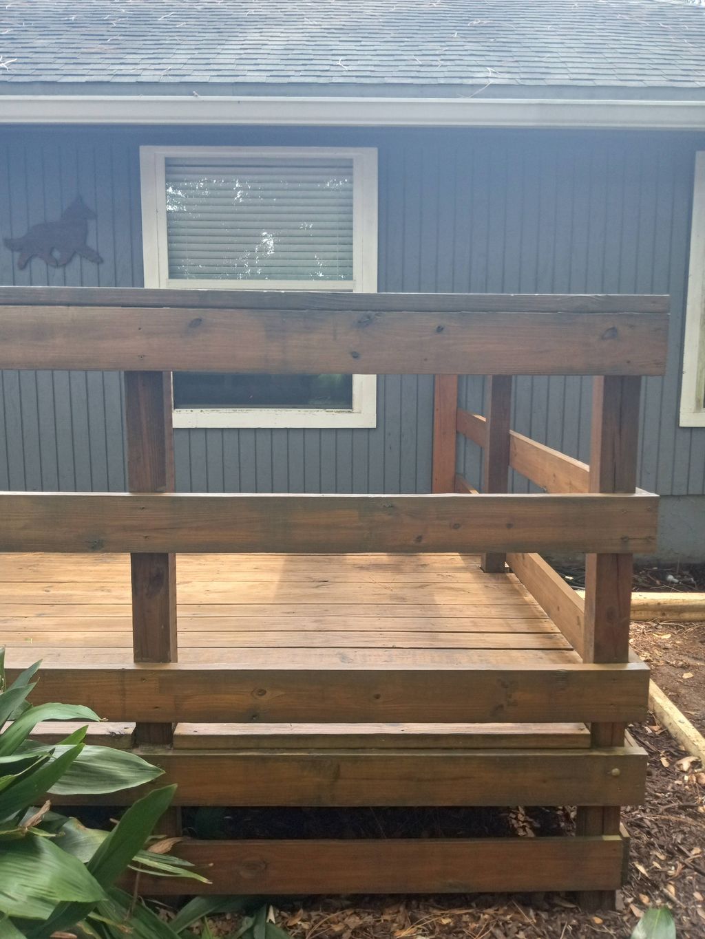 staining decks