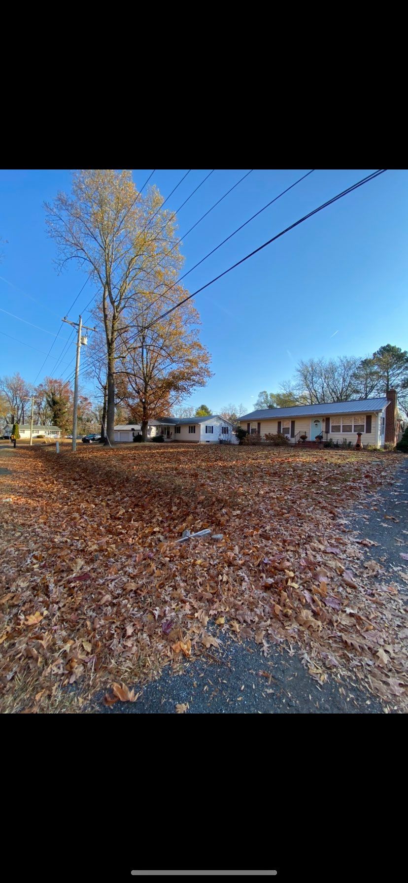 Before - leaf removal on front of the house left s