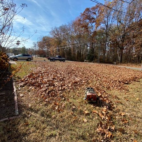 Before - front yard leaf removal 