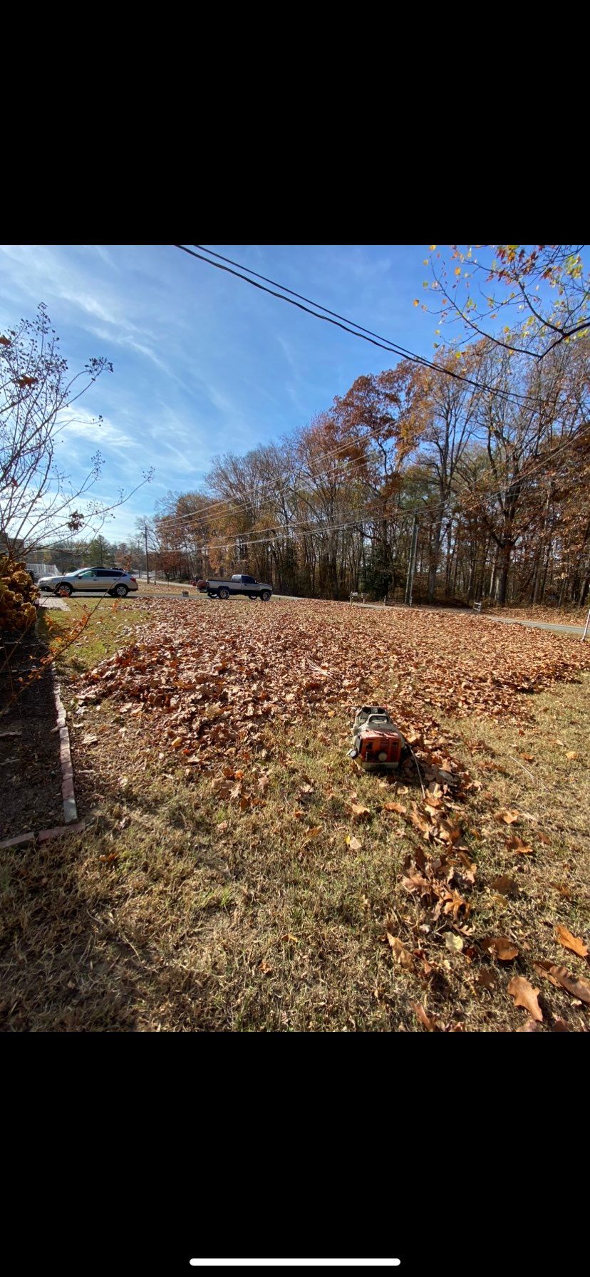 Before - front yard leaf removal 