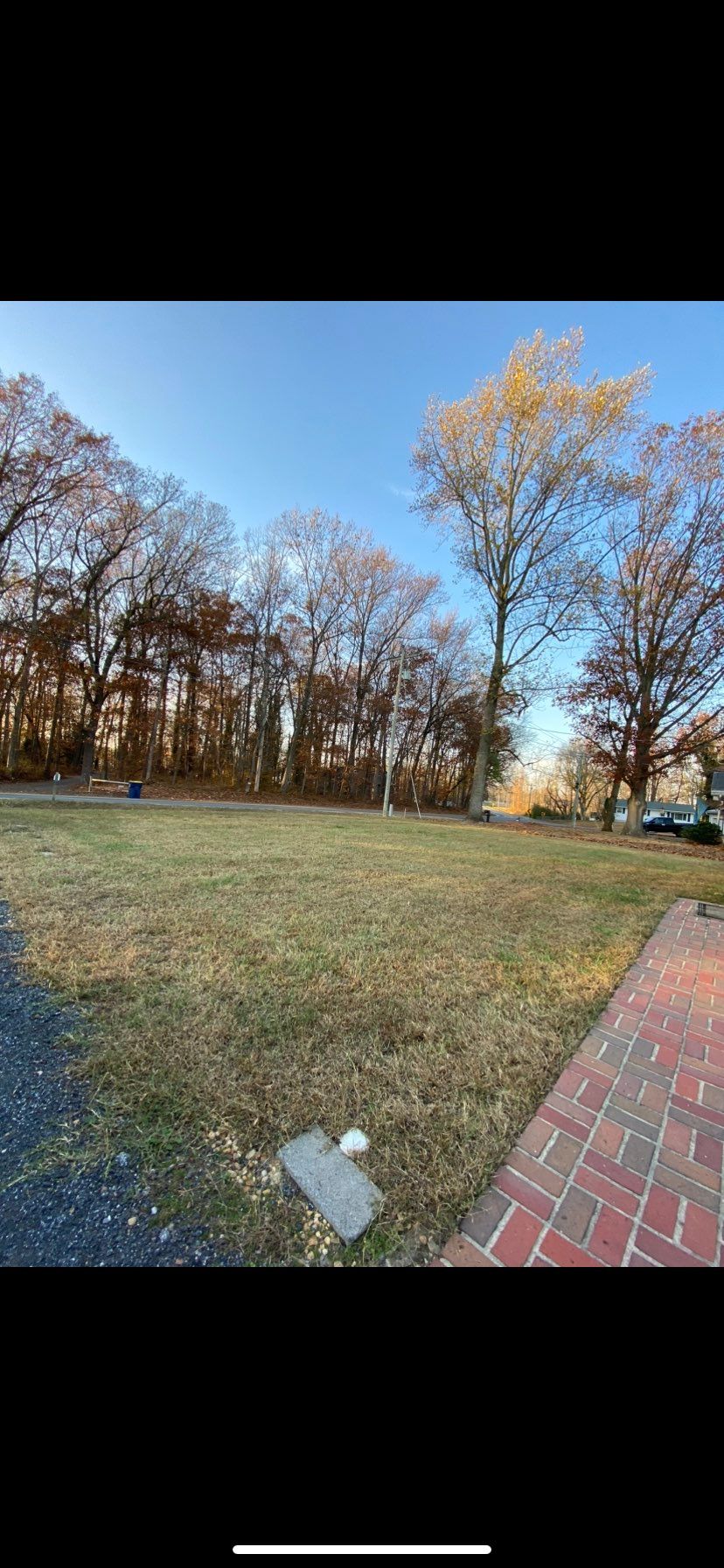 After- front yard leaf removal 