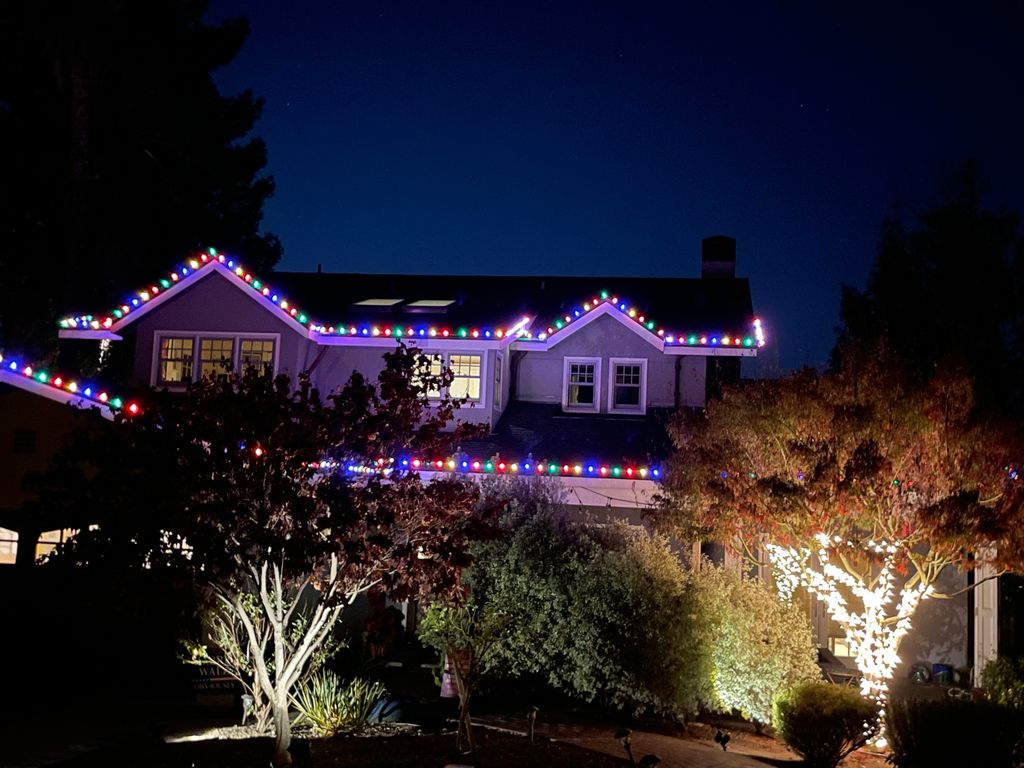 Holiday Lighting Installation and Removal