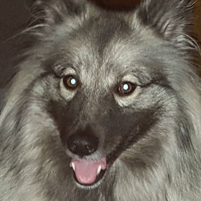 Avatar for Bernie's Pet Care Services