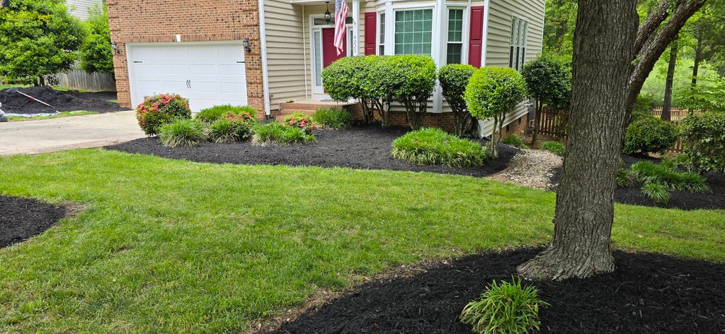 Tree and Shrub Pruning  With Fresh Mulch