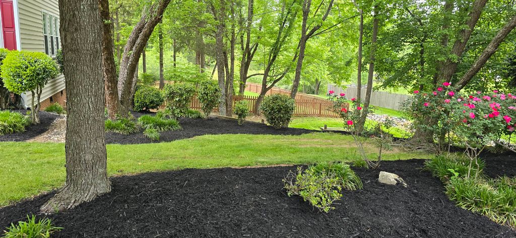 Tree and Shrub Pruning  With Fresh Mulch