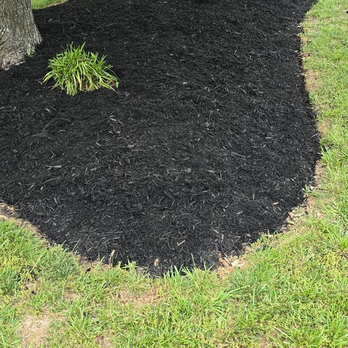 Fresh Flower Bed Edge