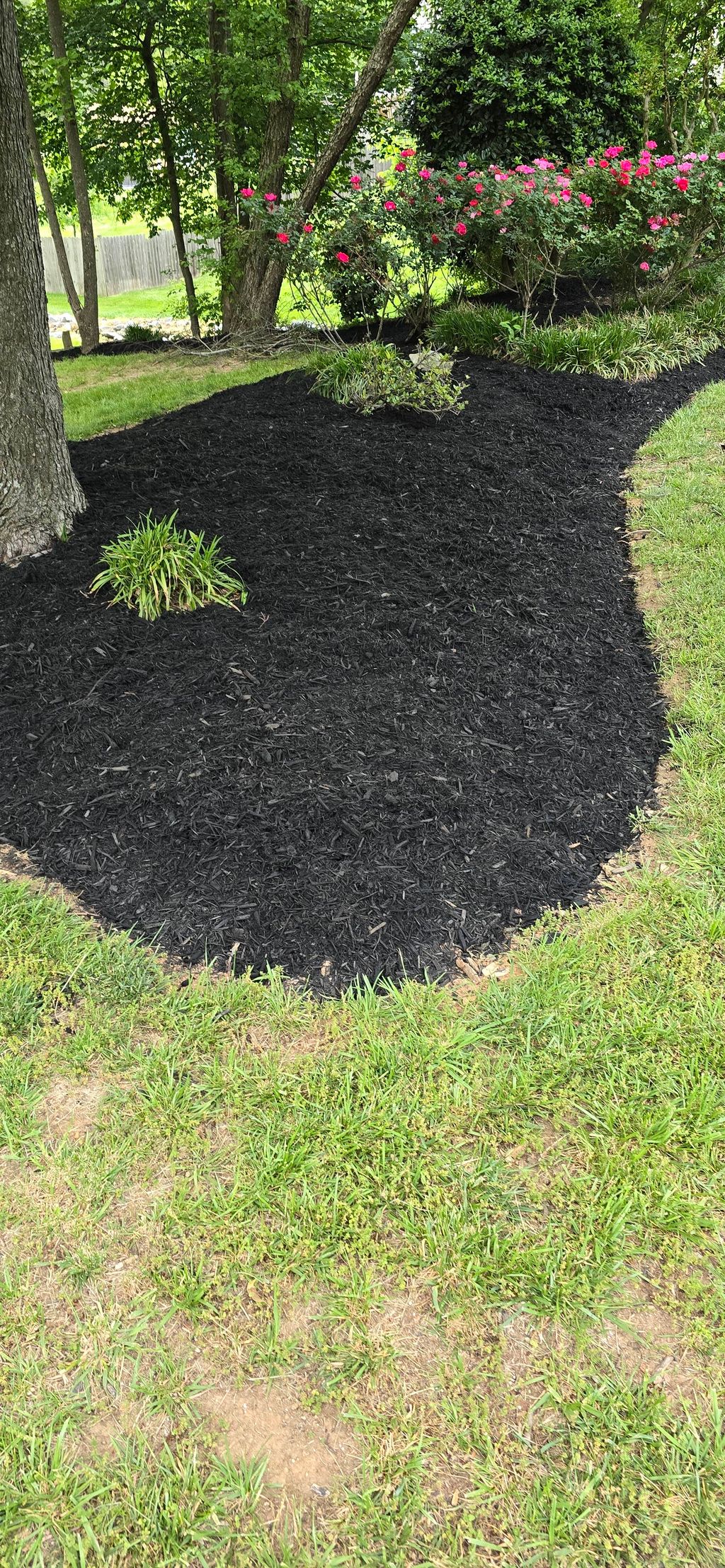 Fresh Flower Bed Edge