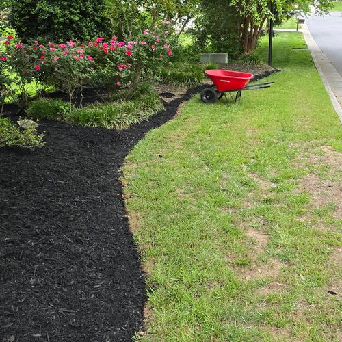 Crisp Flower Bed Edge With Fresh Mulch