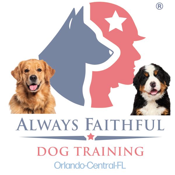 Always Faithful Dog Training Orlando-Central-FL