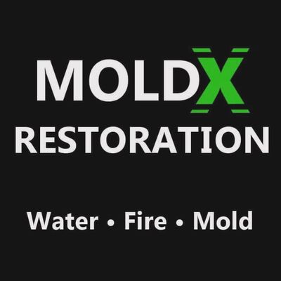 Avatar for MOLD X RESTORATION