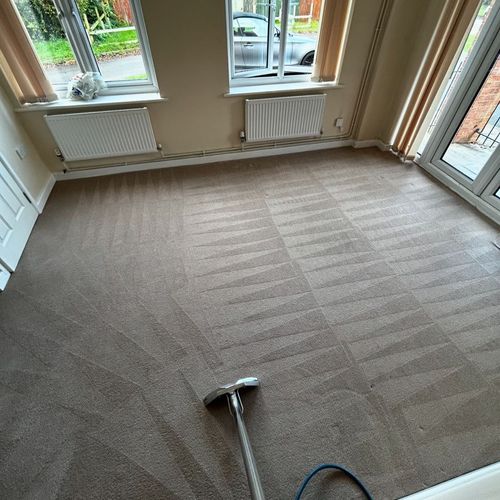 Carpet Cleaning