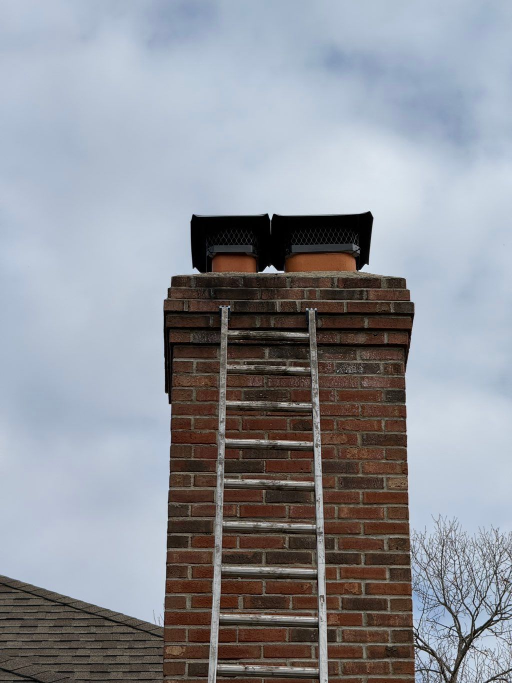 Installed some chimney caps helps with raccoons, b
