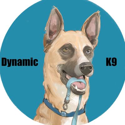 Avatar for Dynamic K9 Training LLC