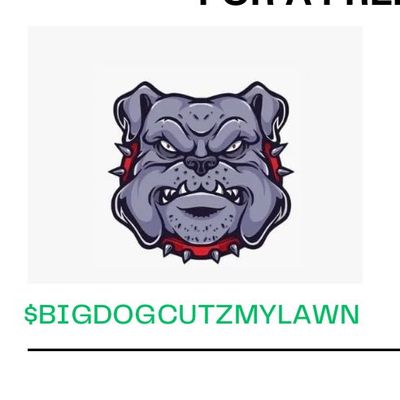 Avatar for Big dog lawn care