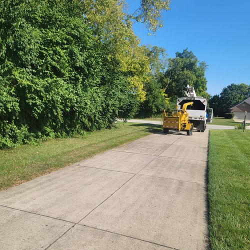 Land Clearing