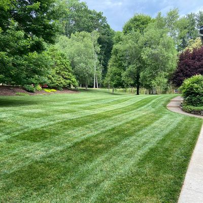 Avatar for Wise Choice Lawn Care & Landscaping