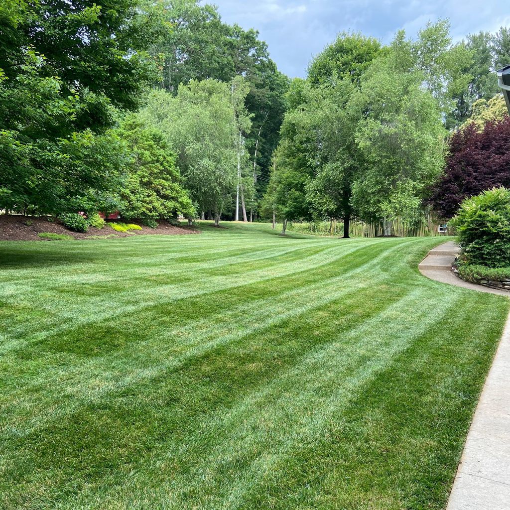 Wise Choice Lawn Care & Landscaping