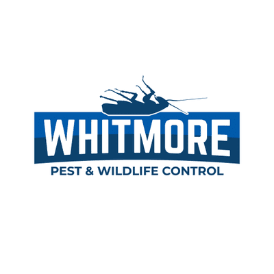 Avatar for Whitmore Pest Control