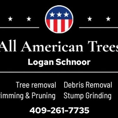 Avatar for All American Trees