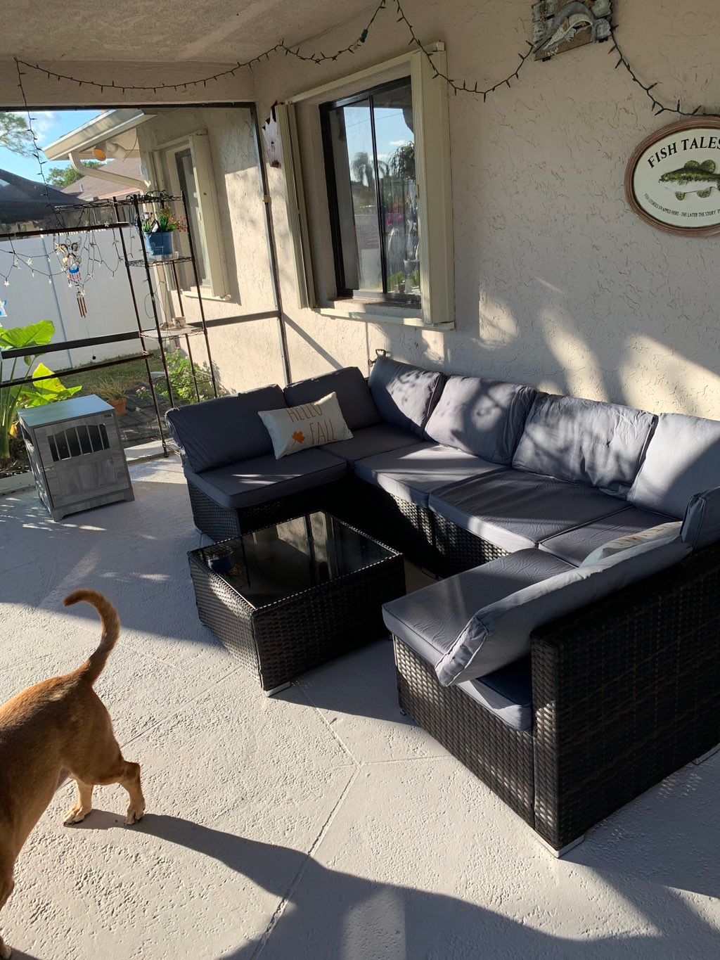 Customer photos