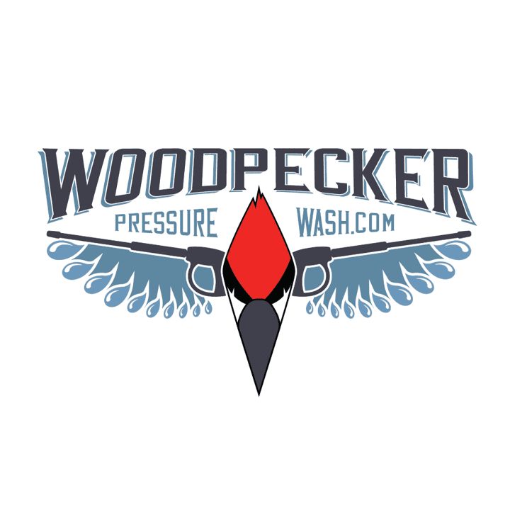 Woodpecker Pressure Wash