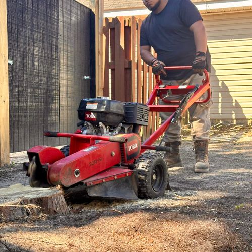 Stump grinding 