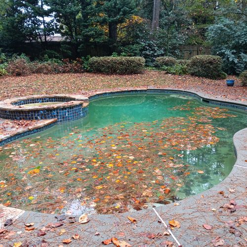 Swimming Pool Cleaning, Maintenance, and Inspection