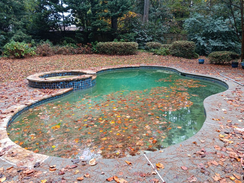 Swimming Pool Cleaning, Maintenance, and Inspection